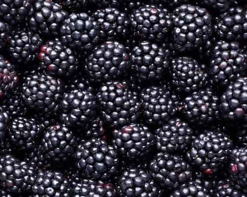 Moras